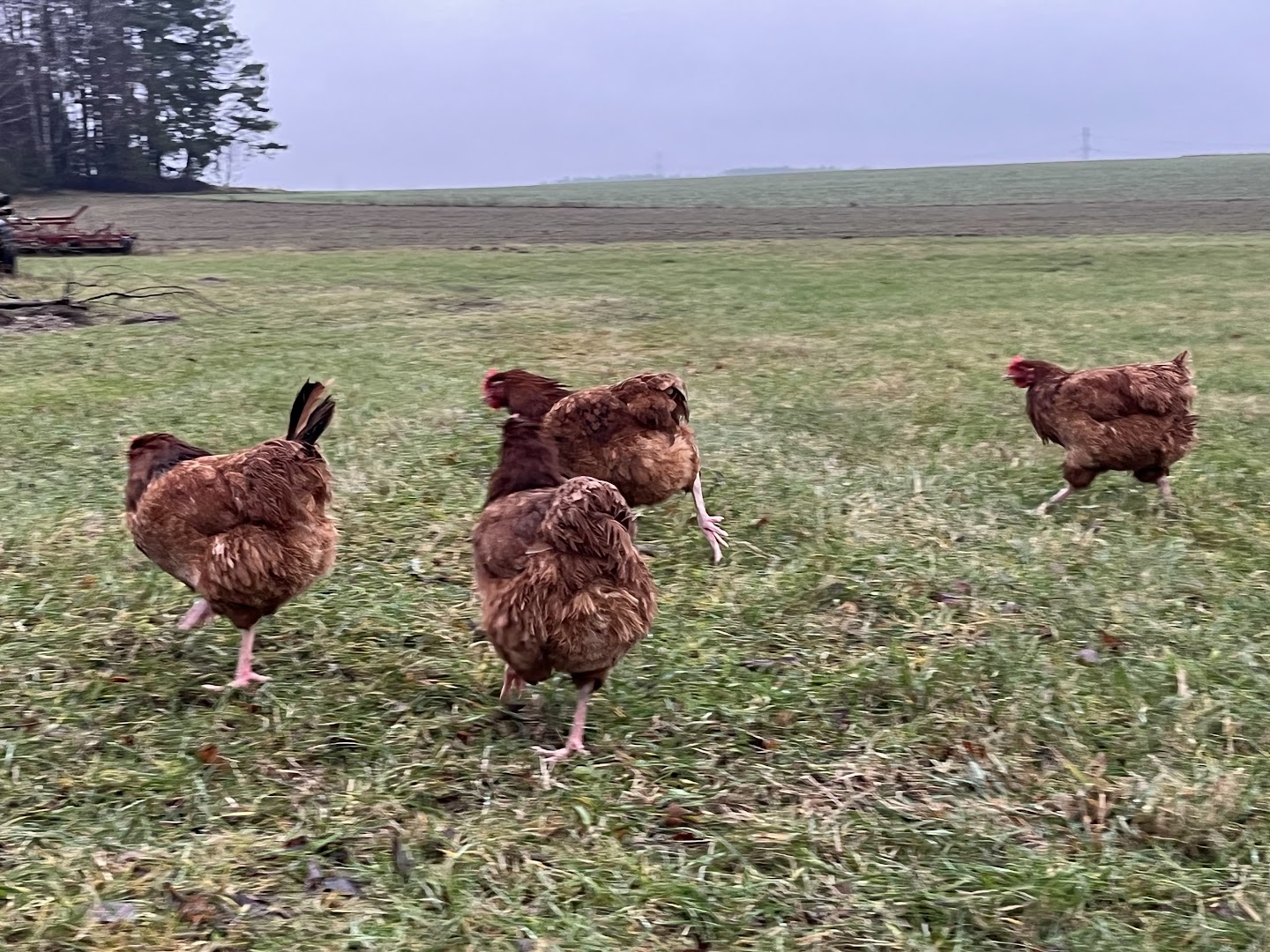 Galeria 35312e00b16d9fa0