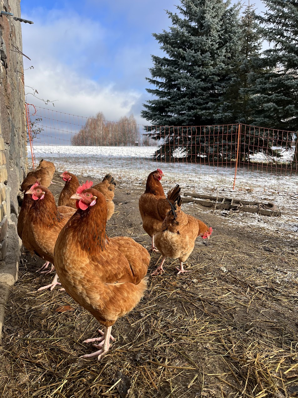 Galeria a6e7d9d2264c25b9