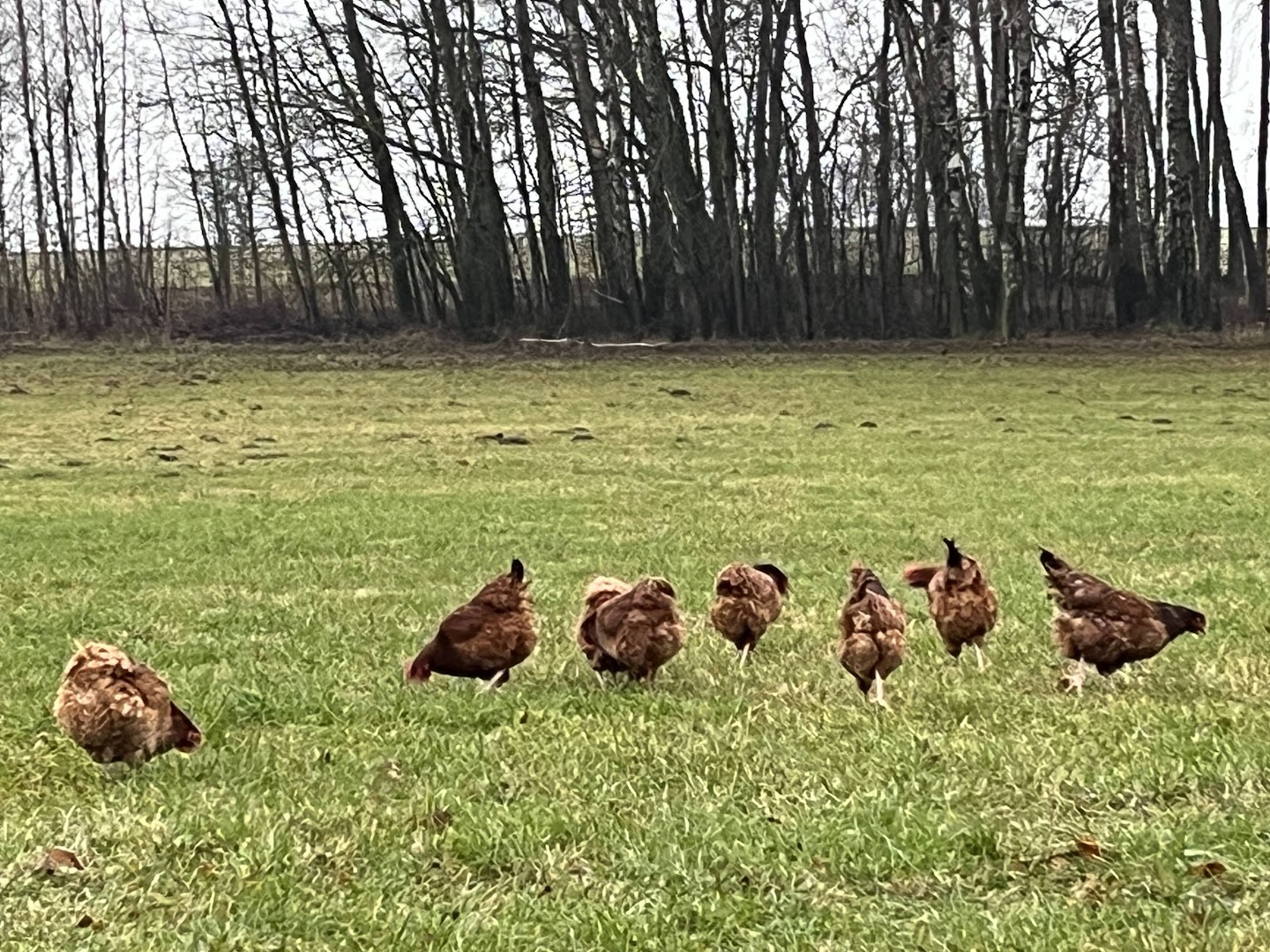 Galeria dcfb55d255d76678