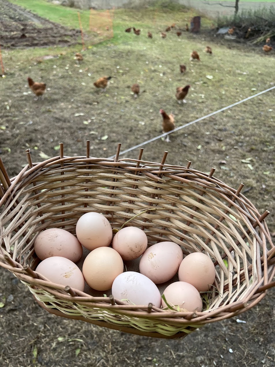 Galeria e6dc6d0104c574be