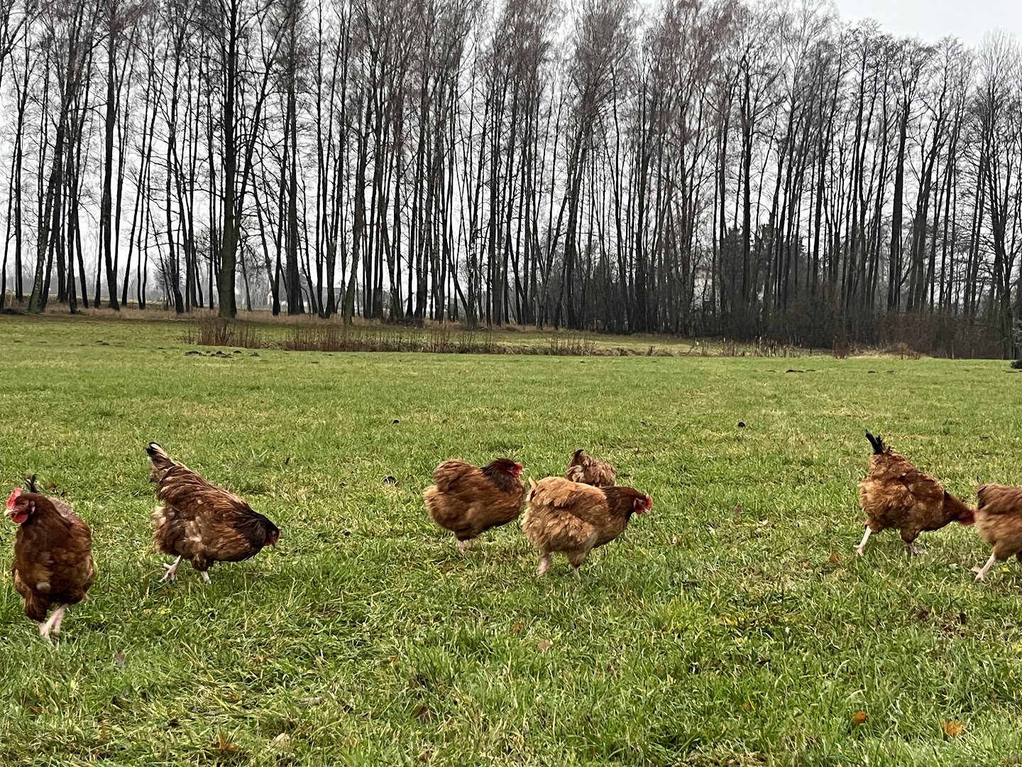 Galeria e6e2eb709c9b0e3b