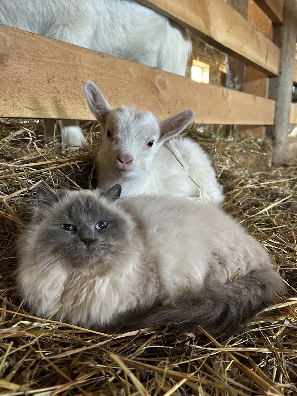 Galeria f549e7862f0fa40d.jpg